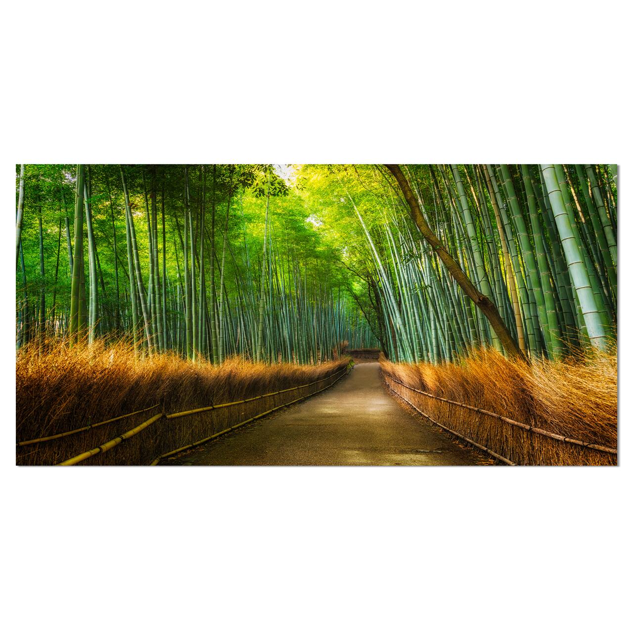 Designart - Arashiyama Bamboo Grove Japan - Oversized Forest Canvas Artwork